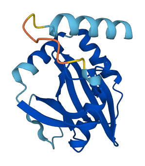 C15orf61 3D structure