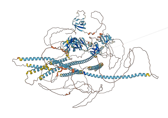 RIMBP3B 3D structure