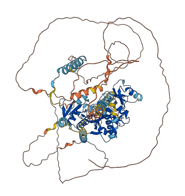 TTLL13P 3D structure