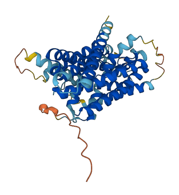 SLC38A8 3D structure