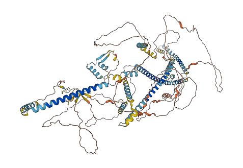 C16orf96 3D structure