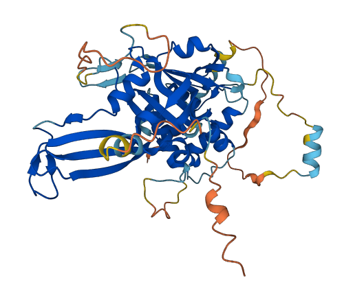 USP27X 3D structure