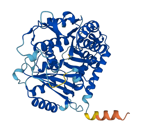 TUBB8B 3D structure