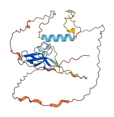 ZAR1L 3D structure