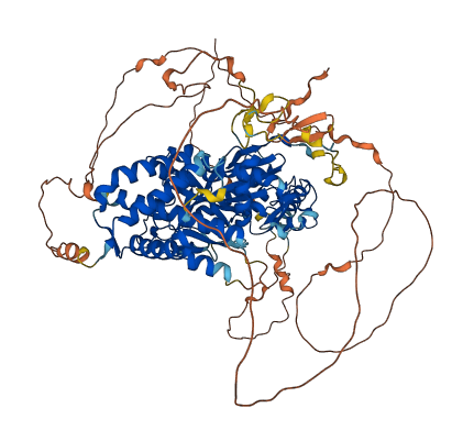 TTLL8 3D structure