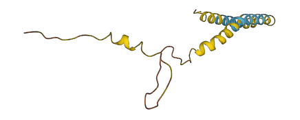 KNCN 3D structure