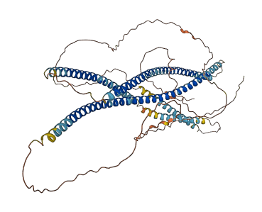 GOLGA8A 3D structure