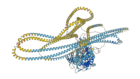 MYH7B 3D structure