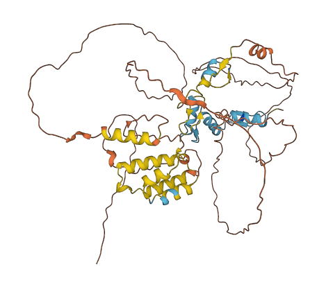 Zscan4d 3D structure