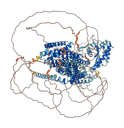 DISP2 3D structure