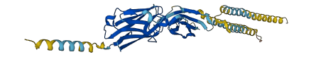 Skint1 3D structure