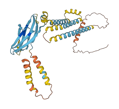 Skint10 3D structure