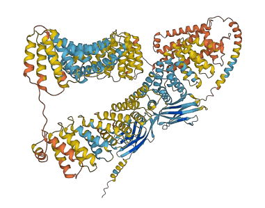Skint5 3D structure