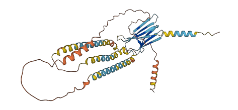 Skint11 3D structure