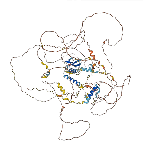 SOBP 3D structure
