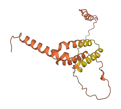 LINC00473 3D structure