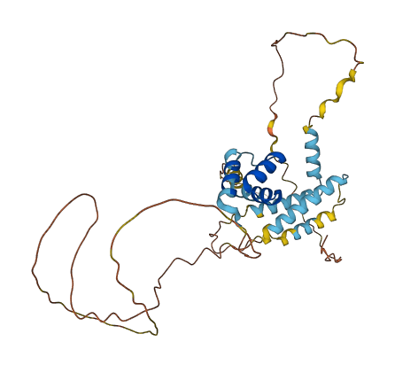 MEIS3P2 3D structure