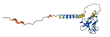 CD300LB 3D structure