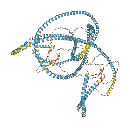 SFI1 3D structure