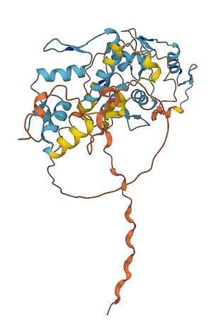 ZNF785 3D structure