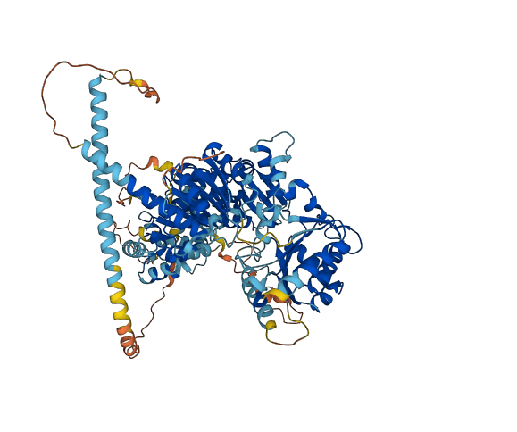 DDX11L8 3D structure