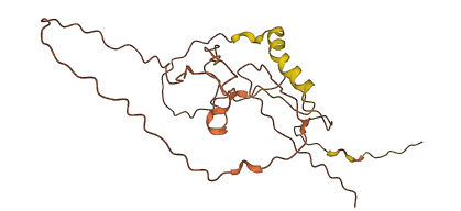 LINC02693 3D structure