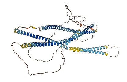 GOLGA8B 3D structure