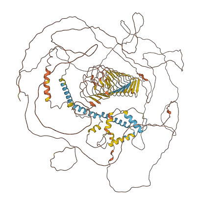 NPIPB5 3D structure