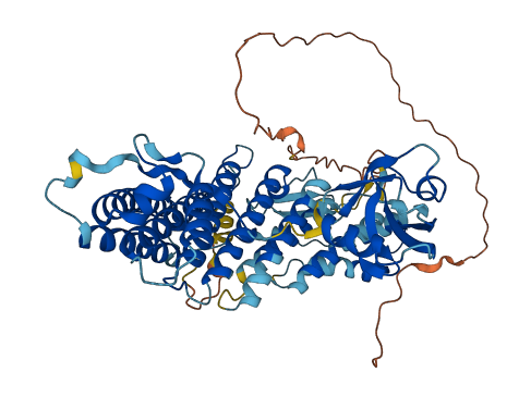 RHPN2P1 3D structure