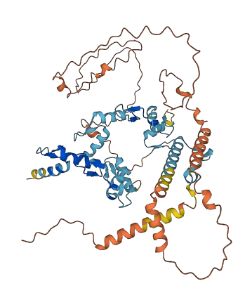 ZNF891 3D structure