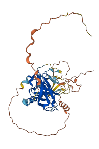 PRSS47 3D structure