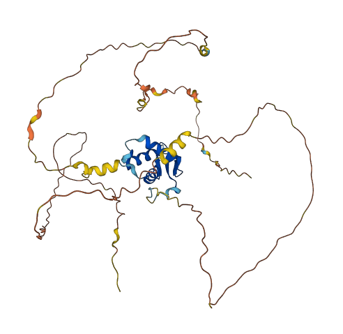 FOXI3 3D structure