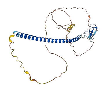 RNF212B 3D structure