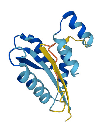 HMSD 3D structure