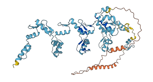 ZNF724 3D structure