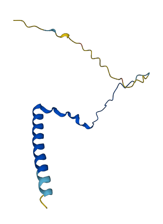 BBIP1 3D structure