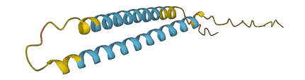 C17orf100 3D structure