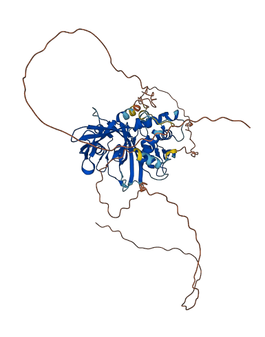 USP17L5 3D structure