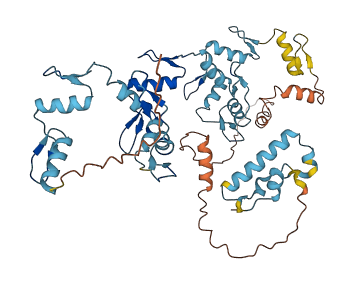 ZNF727 3D structure