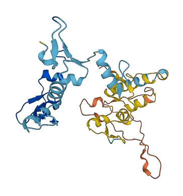 ZNF705G 3D structure