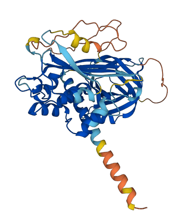SERPINE3 3D structure