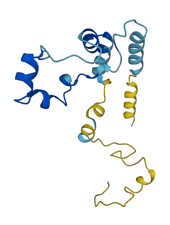 C17orf98 3D structure