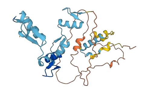 ZNF705F 3D structure