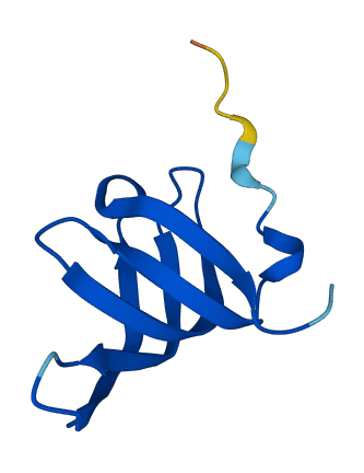 SNRPGP15 3D structure