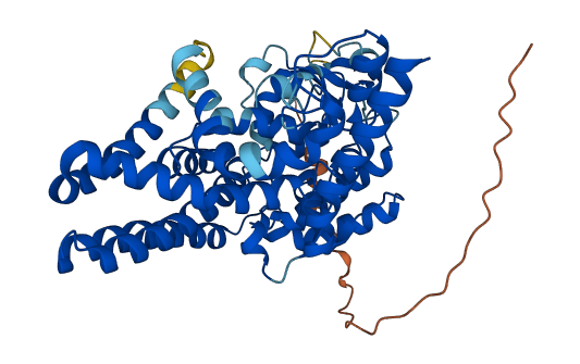FADS2P1 3D structure