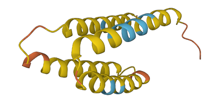 TMEM14DP 3D structure