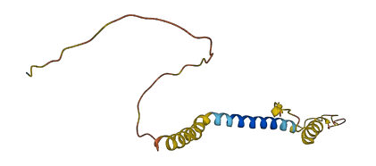 SMIM34A 3D structure
