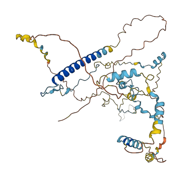 WASH4P 3D structure