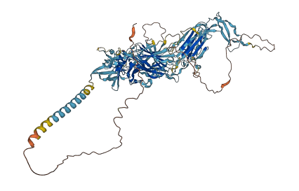 KIAA1324L 3D structure