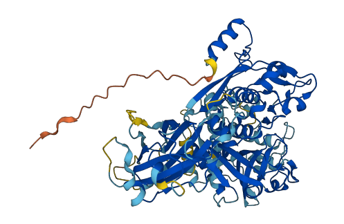 CAPN14 3D structure